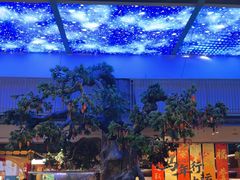 -木子塘汗蒸生活馆(财富港店)