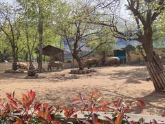 -西安秦岭野生动物园