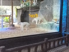 -清迈夜间动物园