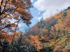 -光雾山旅游景区