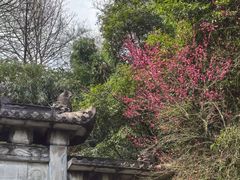 -凤栖山