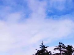 -付记甜皮鸭(西安路枣子巷社区店)