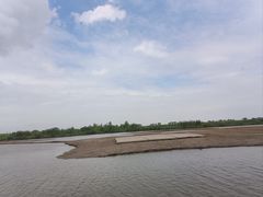 -宁波杭州湾国家湿地公园