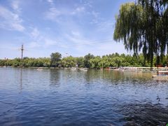 -朝阳公园游乐园