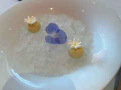 -醉辉皇原味海鲜江南菜(成都大魔方店)