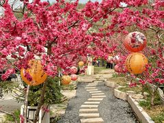 -桃源山庄·水蜜桃采摘·柴火鸡·烧烤团建(龙泉山店)