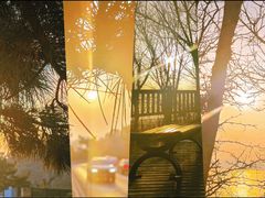 -星海湾跨海大桥