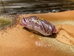 -荣一代目OMAKASE板前料理