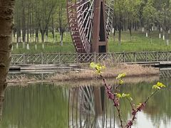 -苏州太湖国家湿地公园