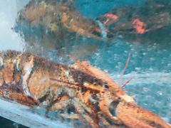 -王大厨·海鲜·家常菜