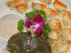 -官塘陈记鱼生·潮汕砂锅粥·牛肉火锅(潮枫路总店)