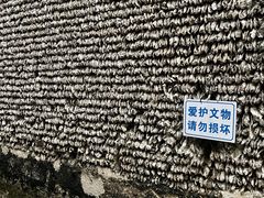 -小洲村
