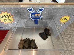 -桂大叔·砂锅粥·家传闽粤菜(县西巷店)