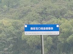 -汉中石门栈道景区