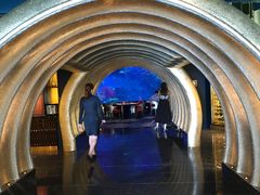 -迪拜帆船酒店海底餐厅
