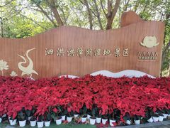 -泗洪洪泽湖湿地景区