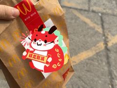 -麦当劳(花园北路店)