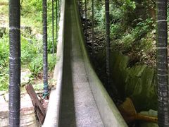 -蝶舞清江·恩施云顶景区(黄鹤峰林)