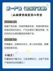 -北京嘉禾医疗
