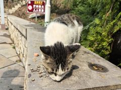 -四门塔风景区