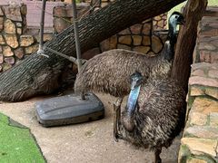 -J Create城市露营咖啡·简餐·宠物(上海动物园店)