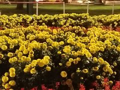 -怡心阁·水疗SPA(天府广场店)