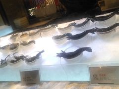 -半岛翡丽海鲜自助餐厅(观风亭店)