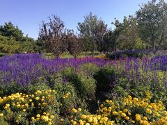 -长春公园(普阳街道)