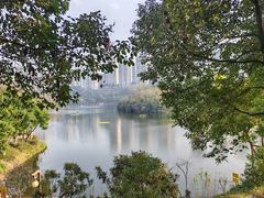 -重庆彩云湖湿地公园