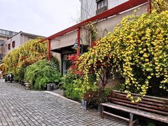 -Bamboo Today Cafe(国创园店)