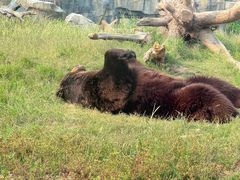 -祥源·阜阳生态乐园