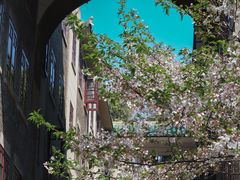 -武汉大学校门牌坊