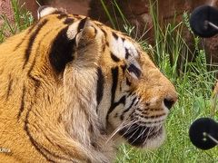 -鄂尔多斯野生动物园