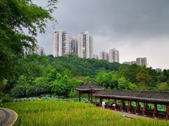-龙头寺公园