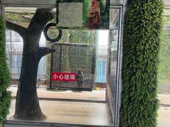 -武清南湖绿博园