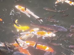 -青青世界