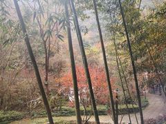 -宁海森林温泉