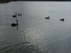 -艾溪湖湿地公园