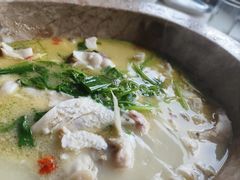 -七采菌园·野生菌石锅鱼(环城北路店)