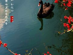 -西安浐灞国家湿地公园