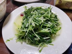 -翕庐小苑