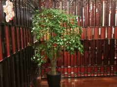 -建滔诺富特酒店-悦餐厅