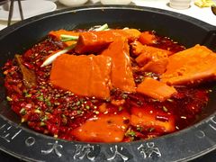 -孙毛肚火锅(春熙路店)