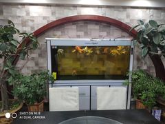 门面-马家烧麦(总店)