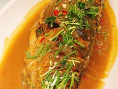 -老长春肉馆(创业大街店)