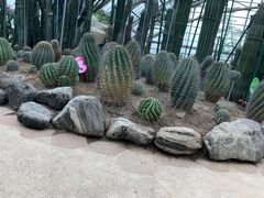 -南山植物园
