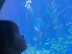-华夏文旅西安度假区