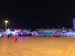 -阜阳站