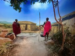 -国家自然博物馆