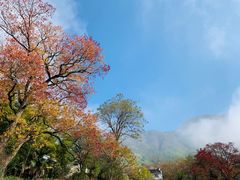 -塔川景区